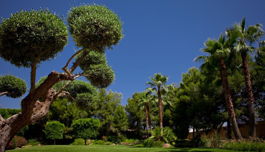 Отель Jardines De Amaltea Лорка Экстерьер фото